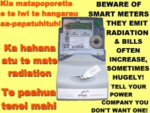 Smart meter poster Te Reo-English